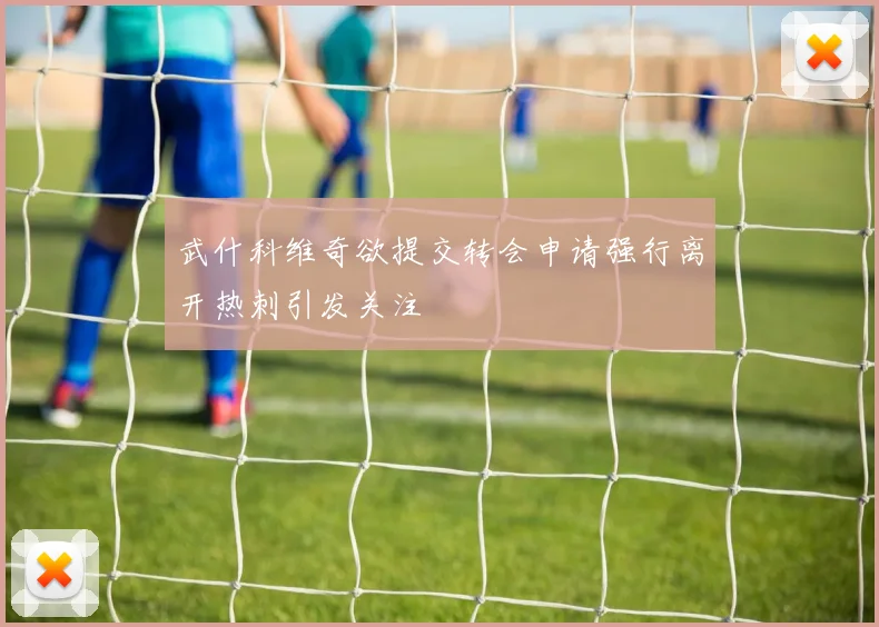 武什科维奇欲提交转会申请强行离开热刺引发关注
