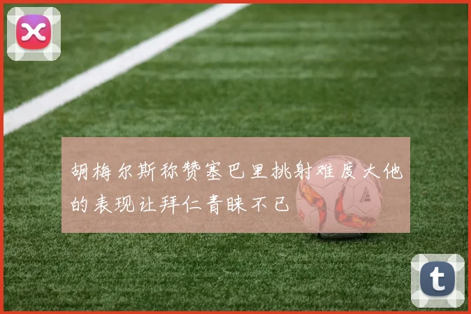 胡梅尔斯称赞塞巴里挑射难度大他的表现让拜仁青睐不已